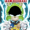 New 👍 IDW Publishing Sonic The Hedgehog #54 Comic Book [Dan Schoening Variant B] 👏
