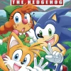 New ⭐ IDW Publishing Sonic The Hedgehog #52 Comic Book [Cover B (Jennifer Hernandez)] 🥰