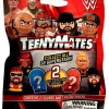 Budget ⭐ WWE Wrestling TeenyMates Series 1 Mystery Pack [2 RANDOM Figures] 👍
